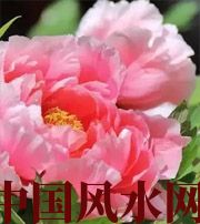 安康预示你财运上升，姻缘可成的梦境，快来看看吧！